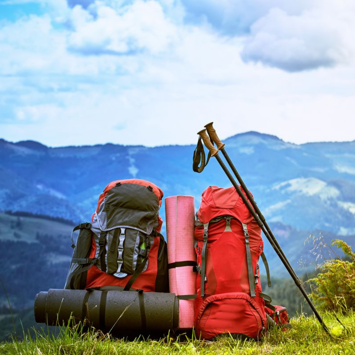 Outdoor Gear & Survival
